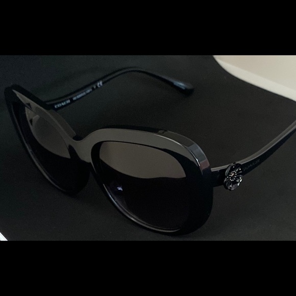 Sunglasses - Picture 7 of 12